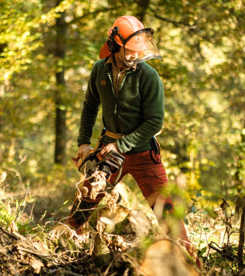 Timo Neef Wald- & Forstarbeiten